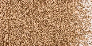 Walnut shell Dubai